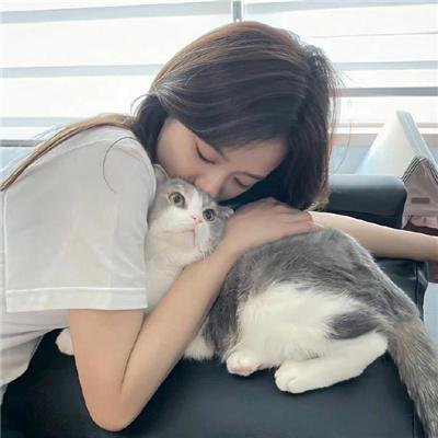 东北美发天团